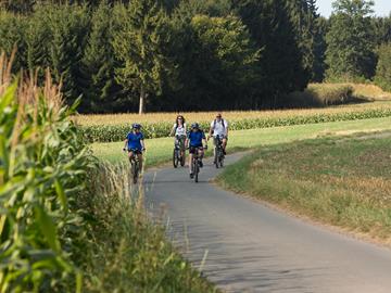 Cycling tour Geenzentour - Biking