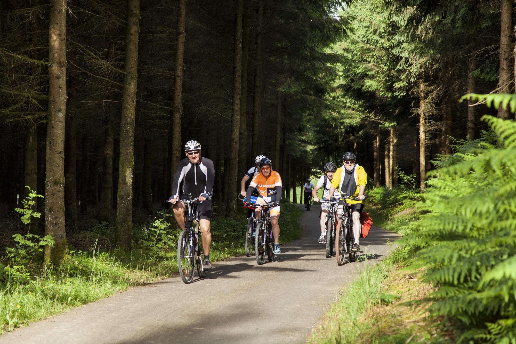 Spreekwoord voordat Toerist Het RAVeL-net van fietsroutes - Biking Trails - Fietsroutes