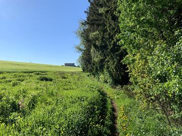 Circuit de randonnée TV2 - Hiking