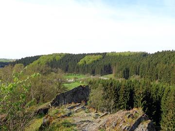 Circuit de randonnée D - Hiking