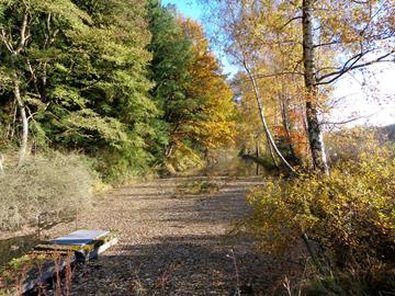 Sentier « Découverte des chauves-souris » TV1