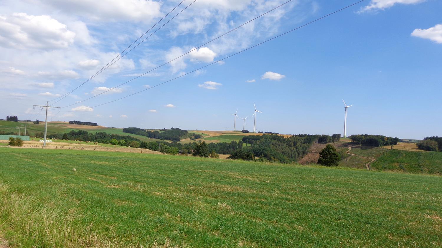 Le Nord à Pied 41 Promenades & Randonnées