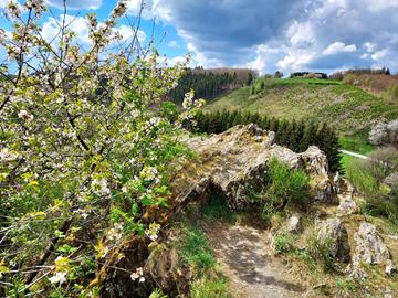 Auto-Pédestre Wanderwege im Éislek