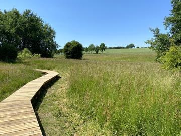 Sentier nature « Cornelysmillen »