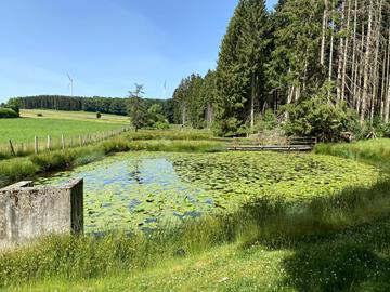 Fluchthelferweg - Hiking