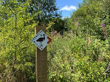 Nature path « Cornelysmillen »