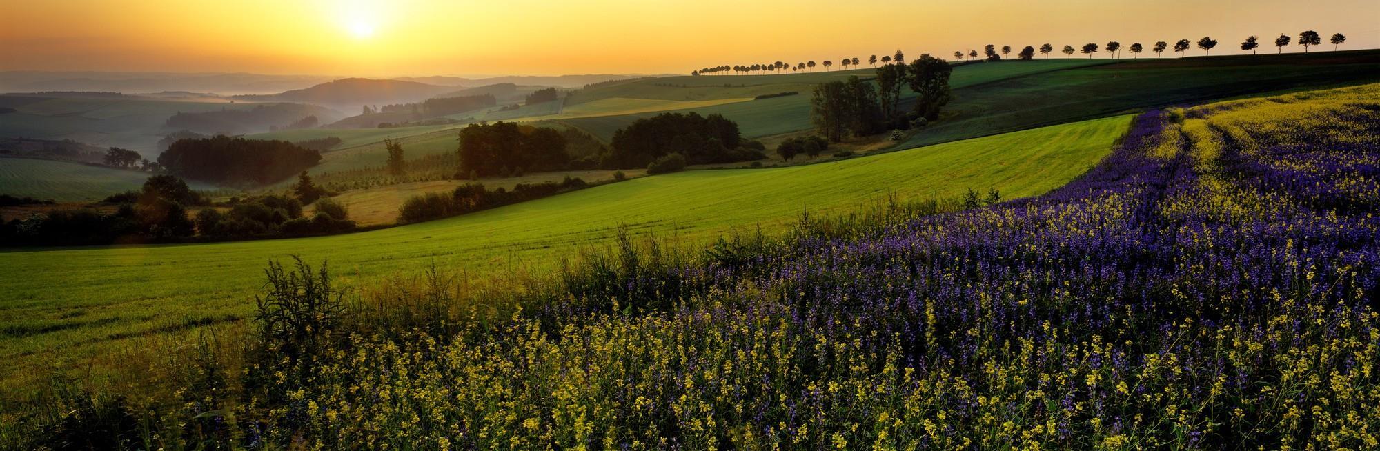 Landscapes as in the picture book