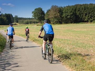 E-bike rental april-september