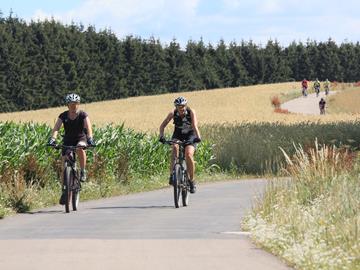 Het RAVeL-net van fietsroutes