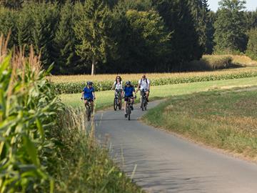 Circuit Geenzentour - Biking