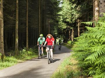 Bagagetransport Service - Biking