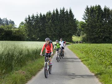 Het RAVeL-net van fietsroutes