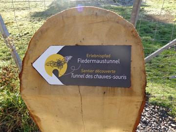 Der Fledermaus-Lehrpfad
