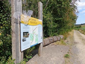 Der Fledermaus-Lehrpfad