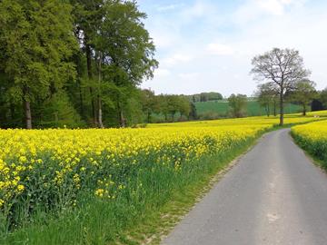 Der Nordpfad - Hiking