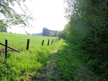 Hike path B - Hiking