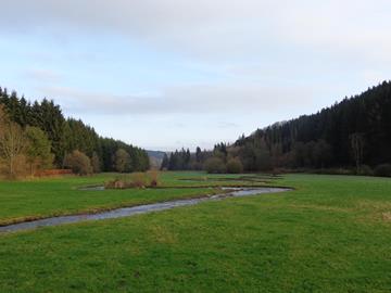 Wandelroute D - Hiking