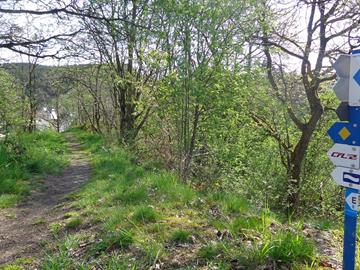 Auto-pédestre 1 - Hiking