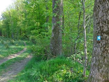 Hike path B - Hiking