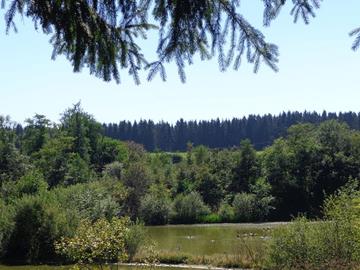Circuit auto-pédestre 2 - Hiking