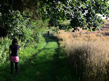 Sentier Panorama - Hiking