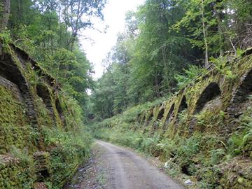 Sentier découverte Tunnel des chauves-souris